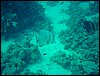 dsc00663.jpg
