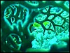 dsc00788.jpg