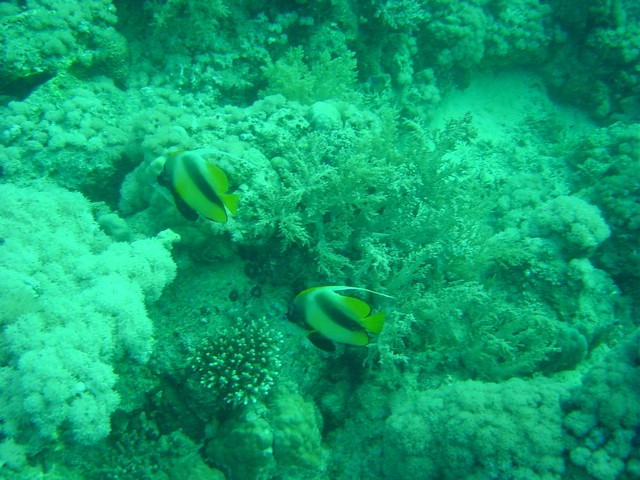 dsc01166.jpg